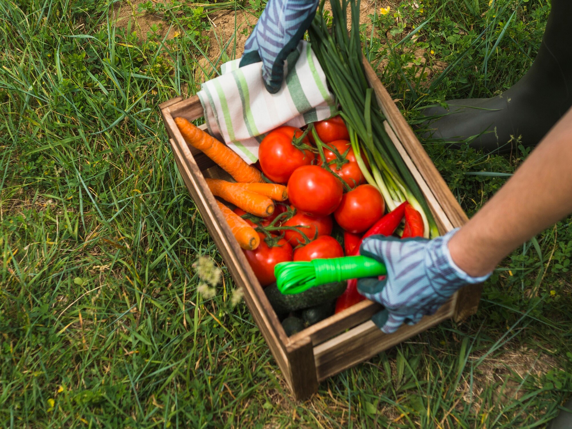 manos mujer sosteniendo caja vegetales organicos frescos 23 2147844341