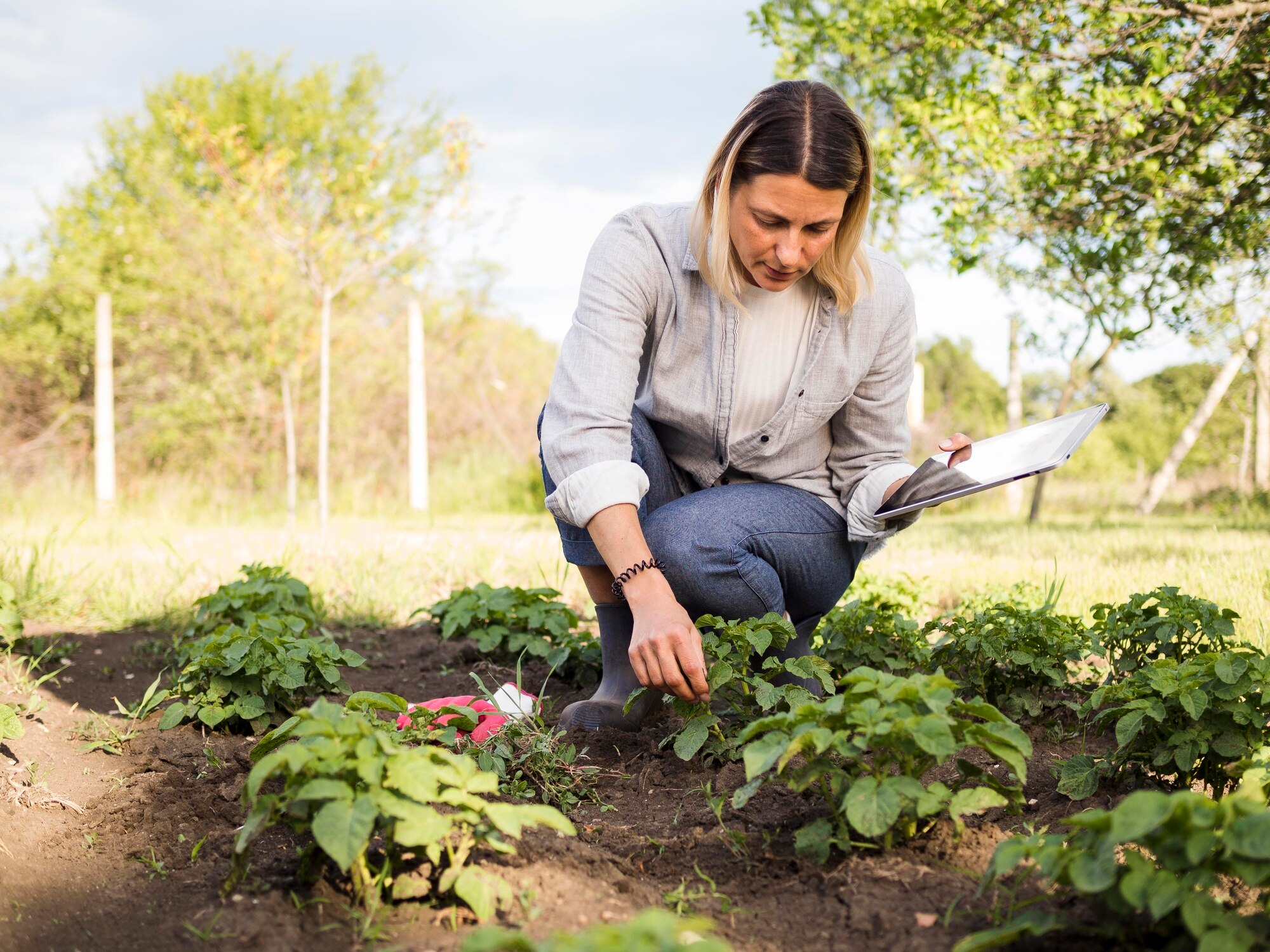 mujer agricultora revisando su jardin 23 2148580081